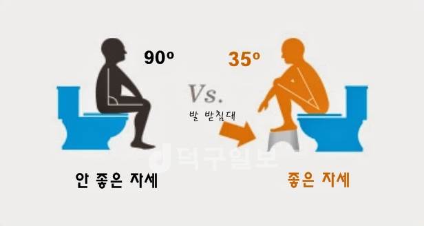 똥 누는 자세